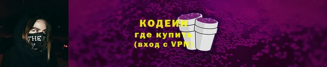 МДПВ Протвино