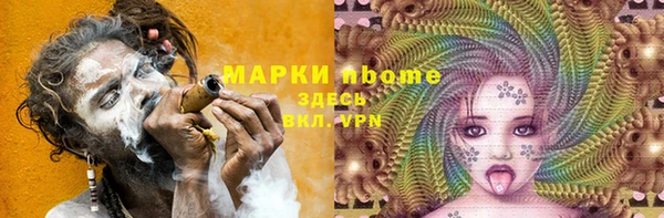 apvp Иннополис