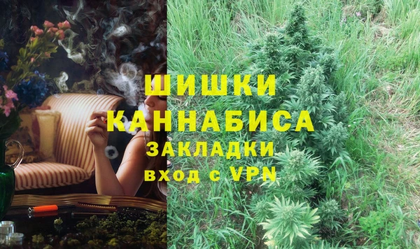 МДПВ Протвино