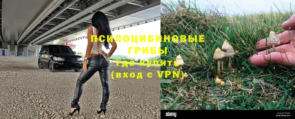 МДПВ Протвино