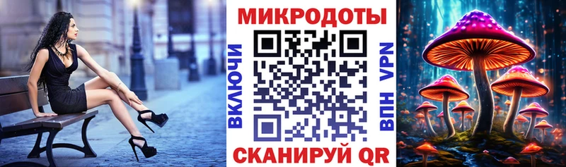 цена   Азов  Псилоцибиновые грибы мицелий 