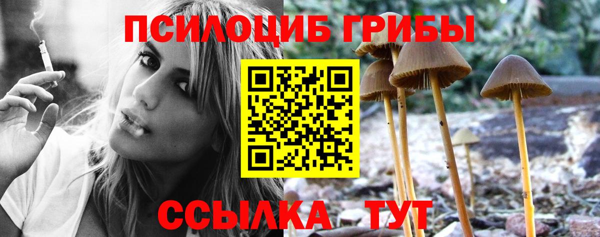 Псилоцибиновые грибы Psilocybine cubensis Азов